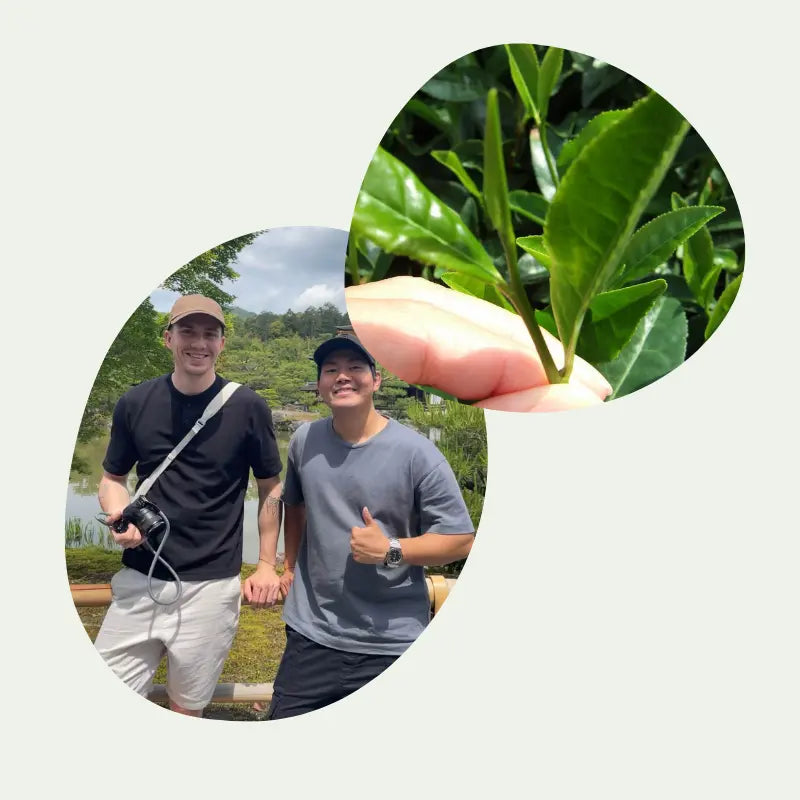 fondateur kiyo japanese tea thé matcha ceremonial japonais kagoshima