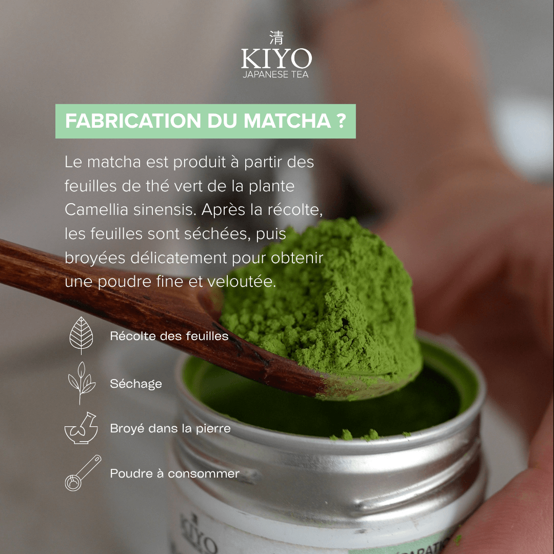 Matcha Cérémonial Japonais Premium – Thé Vert Bio de Kagoshima 30g - Kiyo Japanese Tea