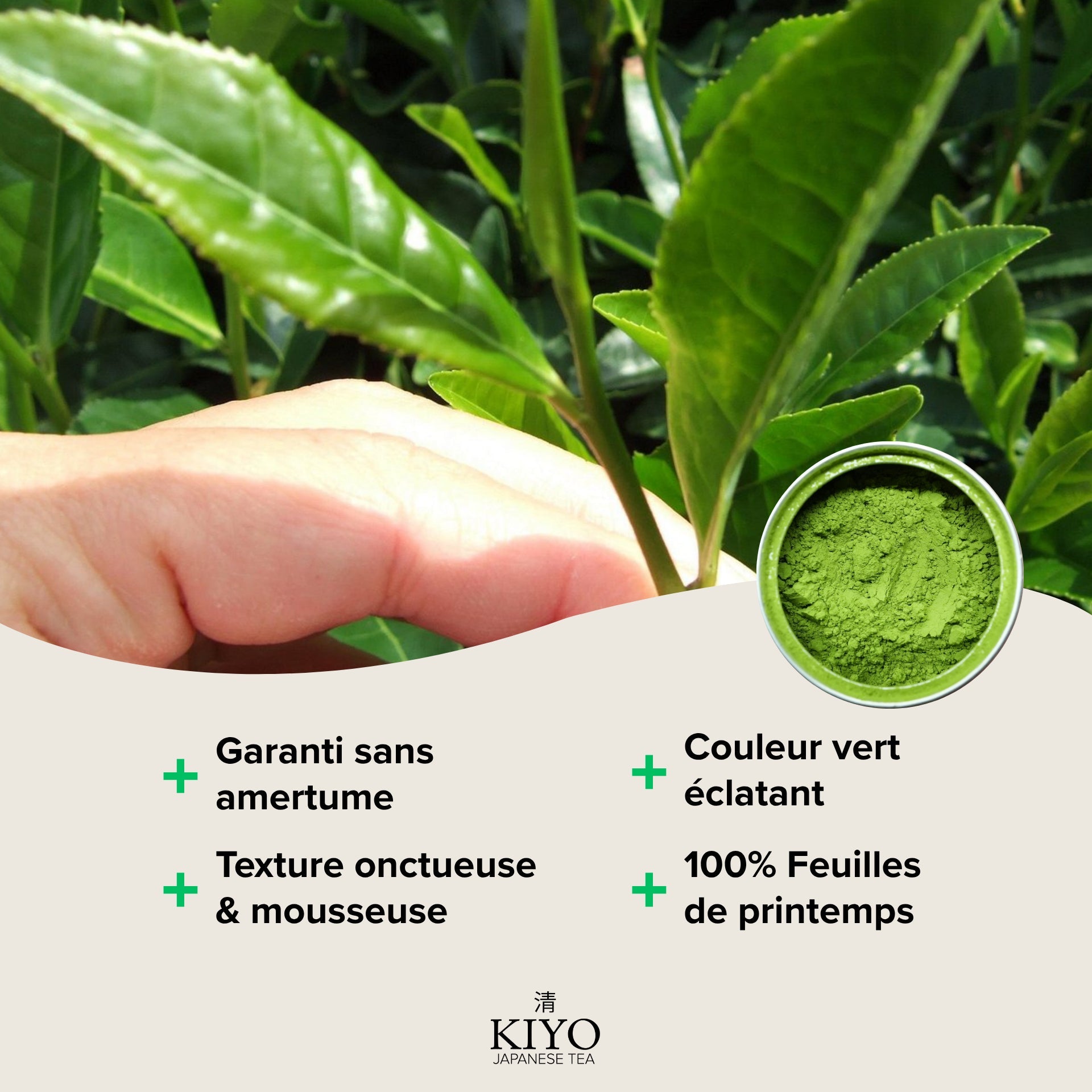 Set d'Accessoires Matcha Traditionnels - Bol, Fouet & Support - Vert (Sans Thé) - Kiyo Japanese Tea