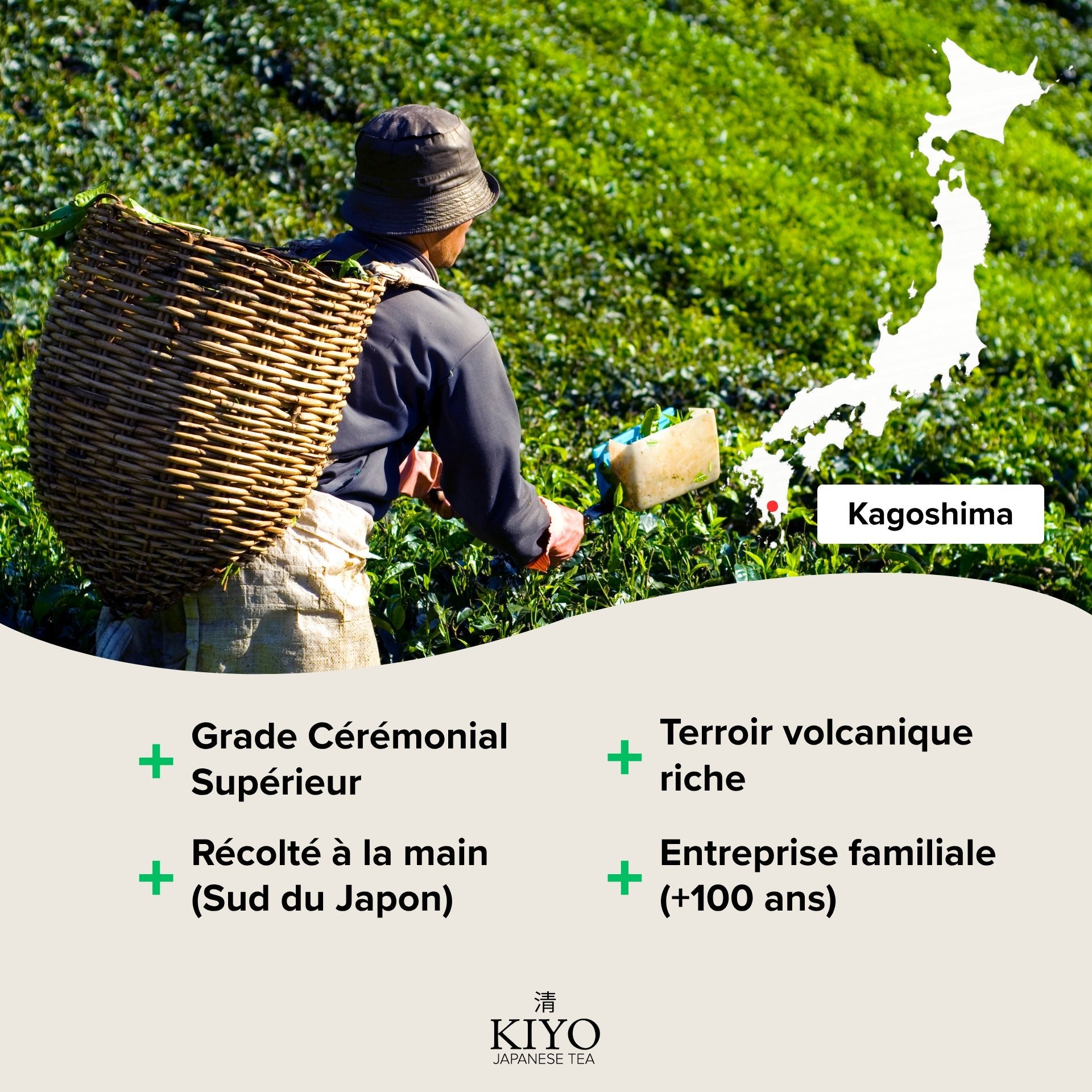 Set d'Accessoires Matcha Traditionnels - Bol, Fouet & Support - Vert (Sans Thé) - Kiyo Japanese Tea
